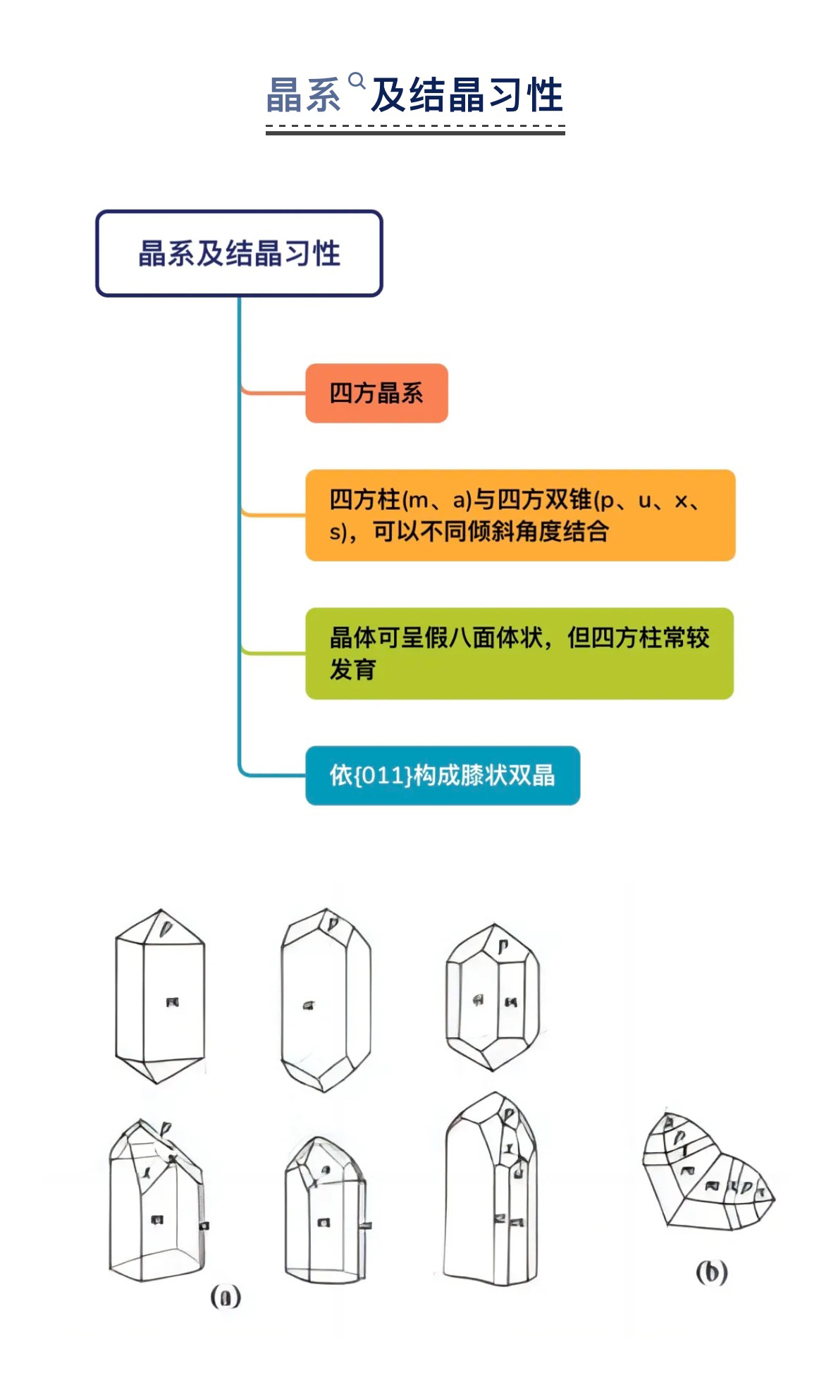 澳门三期必开一期是生肖