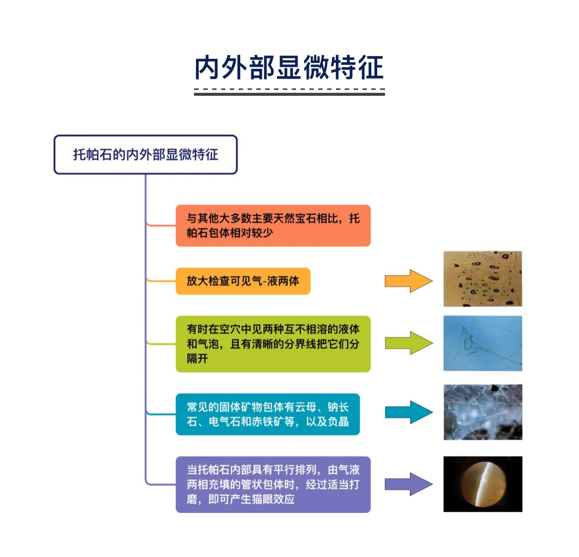 澳门三期必开一期是生肖