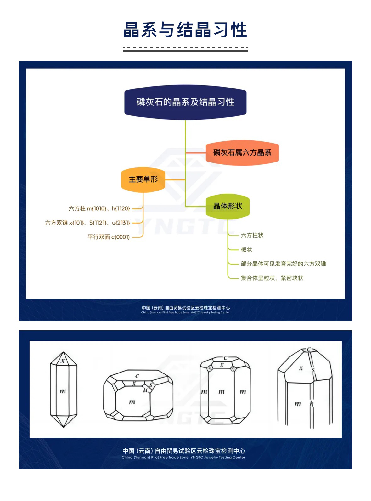 澳门三期必开一期是生肖