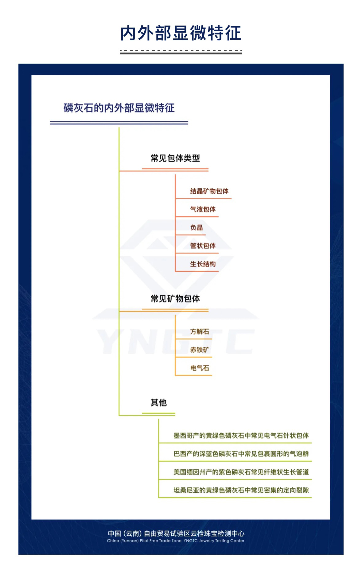 澳门三期必开一期是生肖